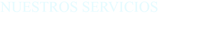 NUESTROS SERVICIOS